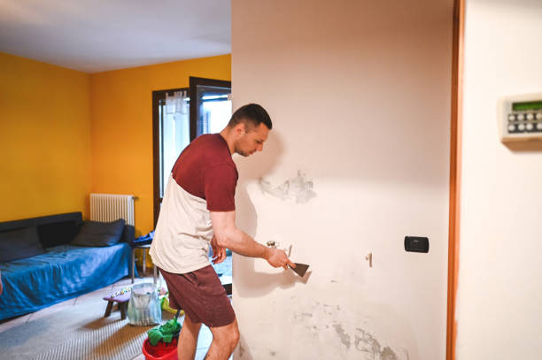 Best Certified Mold Removal  in Winthrop, IA
